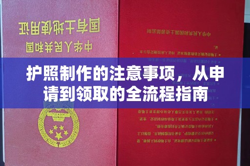 巢湖护照制作的注意事项，从申请到领取的全流程指南